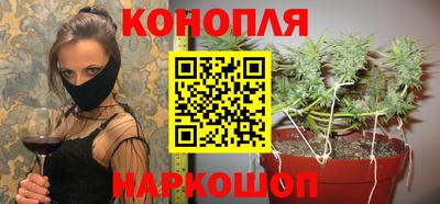 стафф Краснознаменск