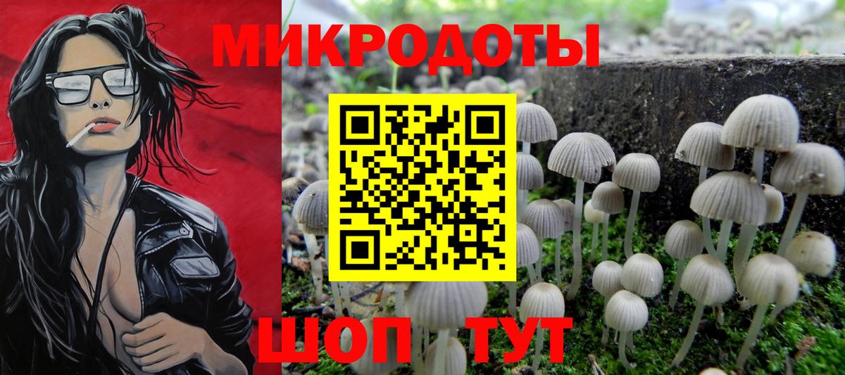 Псилоцибиновые грибы Psilocybe Волжск
