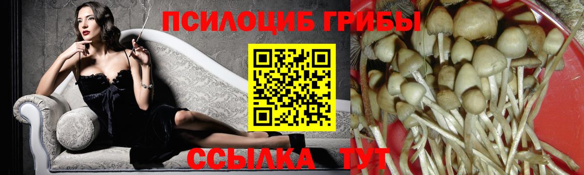 Галлюциногенные грибы Psilocybine cubensis  Вход с VPN  Волжск  Галлюциногенные грибы Cubensis 